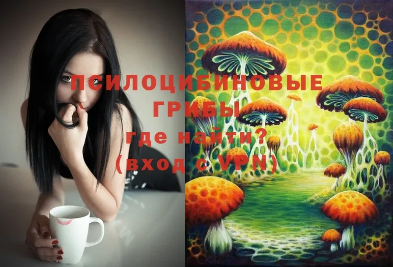 Псилоцибиновые грибы Psilocybe  Старый Оскол 